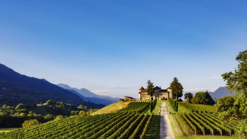 Le domaine du château Bayard