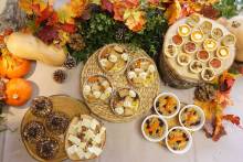 Nos prestations sur le secteur de Valence 26 dans la Drôme